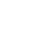 Icon Instagram Button