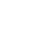 Icon LinkedIn Button